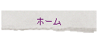 �z�[��
